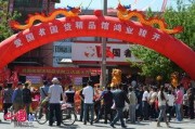 国产精品馆,匠心独运，传承与创新并重的文化瑰宝之旅