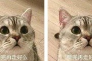 国产高清爽推理片2024